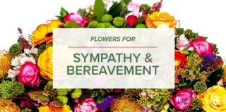 FM4-Lifestyle—Sympathy-Bereavement—Blog